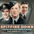 Spitfire Down, A Presentation by Dilip Sarkar
